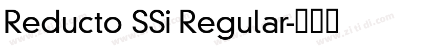 Reducto SSi Regular字体转换